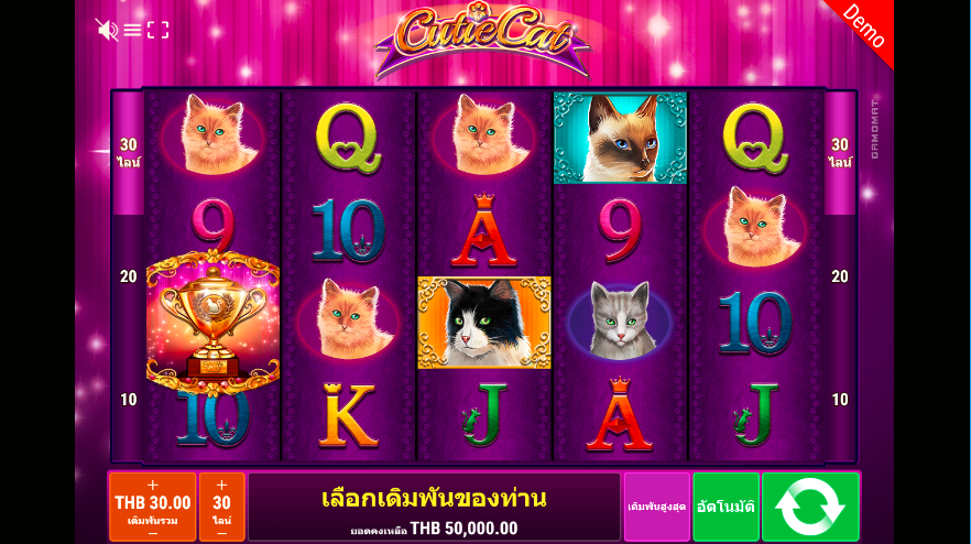 cutie cat slot game Happyluke