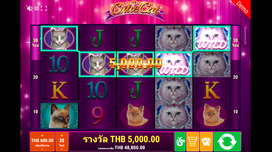 cutie cat slot game Happyluke